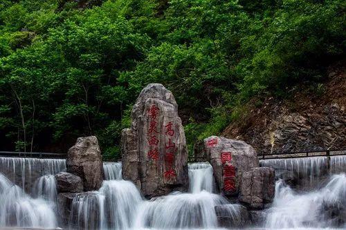 亲爱的金主大人